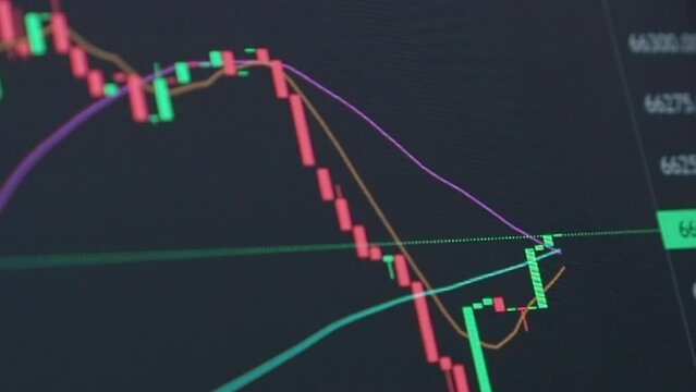 Close-up computer monitor shows volatile trading valuation chart