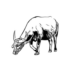 sketch of a buffalo with a transparent background
