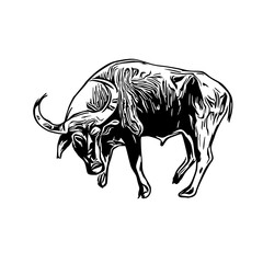sketch of a buffalo with a transparent background