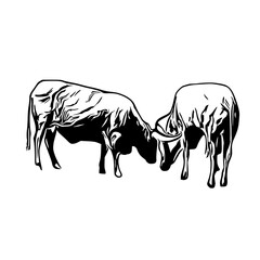 sketch of a buffalo with a transparent background