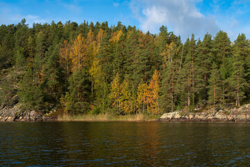 Naklejka premium Lake Ladoga near the village Lumivaara on a sunny autumn day, Ladoga skerries, Lakhdenpokhya, Republic of Karelia, Russia