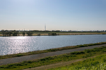 Fototapeta premium 江戸川河川敷緑地（千葉県市川市大和田５丁目）