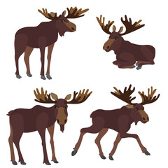 vector drawing moose, elks isolated at white background, hand drawn illustration
