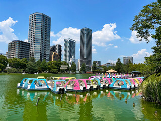 Tranquility in the Metropolis: Ueno District Lake and Pedal Boat, Tokyo, Japan