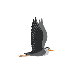 Fototapeta premium vector drawing grey heron, flying wild bird isolated at white background, hand drawn illustration