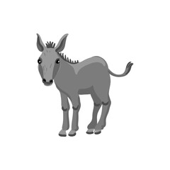 vector drawing grey donkey, farm animal isolated at white background, hand drawn illustration - 774558506