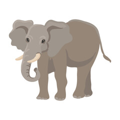 vector drawing elephant, cartoon animal isolated at white background, hand drawn illustration - 774558545