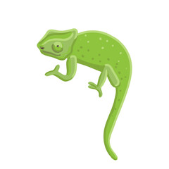 vector drawing green chameleon isolated at white background, hand drawn illustration - 774558758