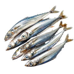 Fototapeta premium Sardines fish isolated on transparent background.
