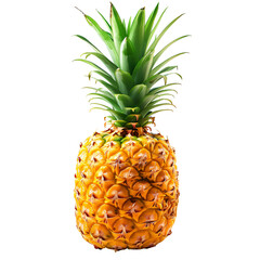 pineapple isolated, no background
