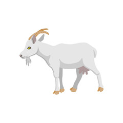vector drawing white goat, farm animal isolated at white background, hand drawn illustration