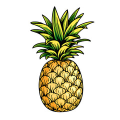 Pineapple, simple line art with color, isolated, no background
