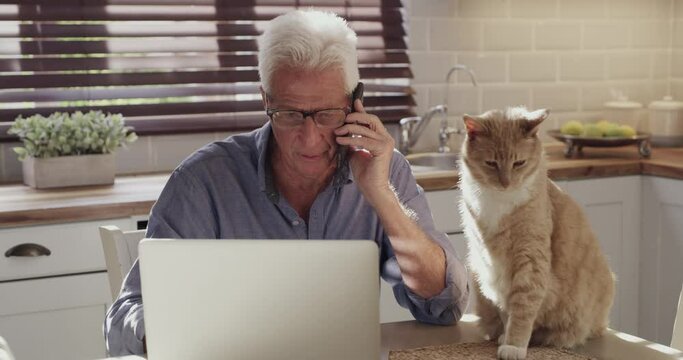 Phone call, home and old man with laptop problem, online glitch and consulting for tech advice, information or plan. Kitchen, smartphone and person with pet cat, remote work and chat about web error