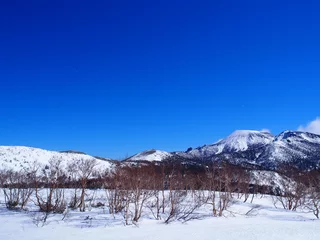 Fototapeten 犬倉山から望む岩手山 © fukinoto