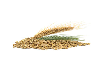 Barley seeds with the outer husk ears over white
