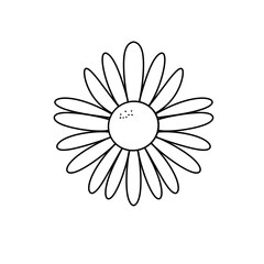 A white flower with a yellow center. The flower is simple and elegant