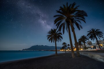 Calm night landscape with palm trees on Tenerife beach, Spain
