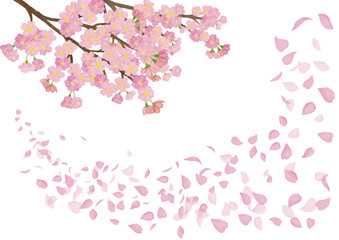 水彩風　満開の桜と桜吹雪　背景