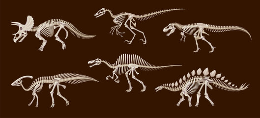 Cartoon dinosaur fossil skeletons, vector dino animals skulls and bones. Triceratops, tyrannosaurus rex, stegosaurus and spinosaurus, parasaurolophus and utahraptor ancient reptile monster skeletons - obrazy, fototapety, plakaty