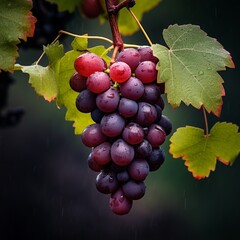 illustration of a bunch of grapes on a tree a picture pixabay renais, Generative ai