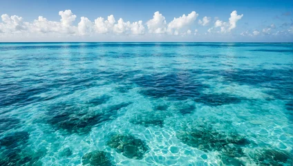 Foto op Plexiglas Light blue Bahama water background  © rouda100