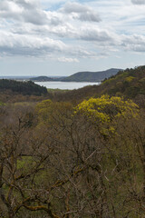 View from the top of the mountain.