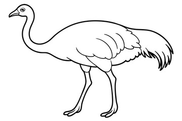 Fototapeta premium line art of a ostrich