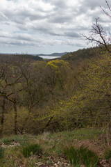 View from the top of the mountain.