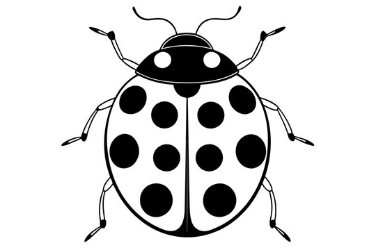 recommend clip art: ladybug silhouette vector illustration