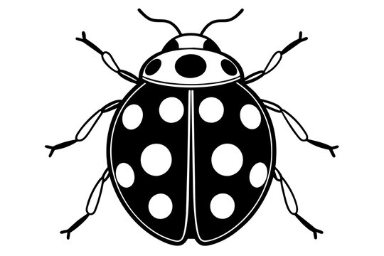 black and white ladybug with white spots clip art preview