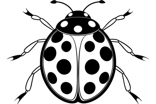 recommend clip art: ladybug silhouette vector illustration