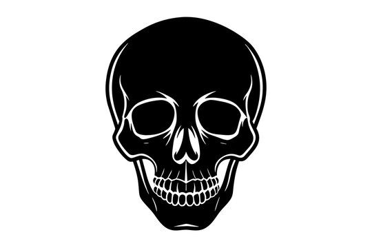 skull silhouette vector illustration