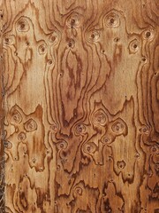 wood texture