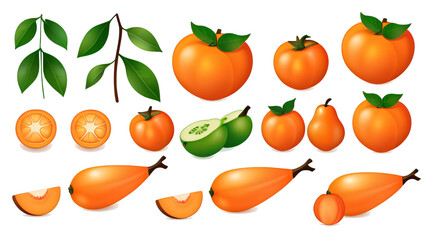 kesemek icon shet illustrator vector