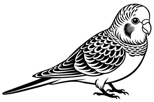 recommend clip art: budgerigar silhouette vector illustration