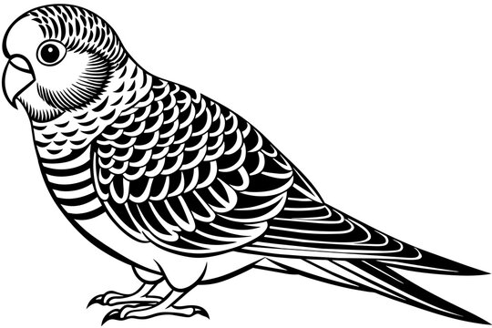 recommend clip art: budgerigar silhouette vector illustration