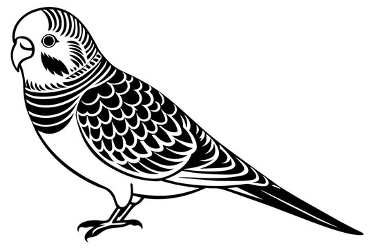 recommend clip art: budgerigar silhouette vector illustration