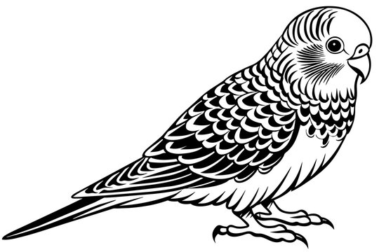 recommend clip art: budgerigar silhouette vector illustration