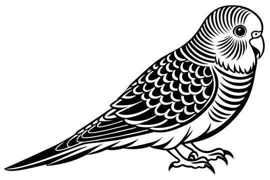recommend clip art: budgerigar silhouette vector illustration