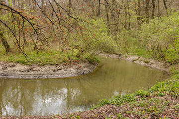 River in spring in the forest.