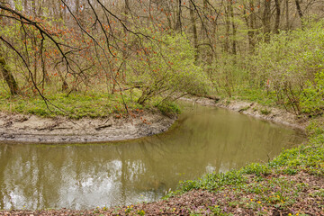 River in spring in the forest.