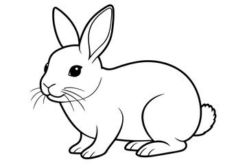 Fototapeta na wymiar rabbit line art vector illustration