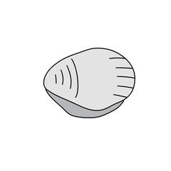 A white shell with a black line on it. The shell is drawn in a very simple way