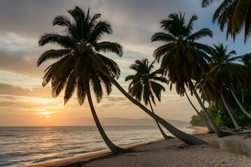 Seaside landscape with sunset and palm trees on the beach photo