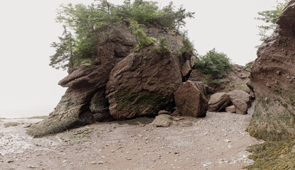 hauts rochers en bord de mer lors d'une marée basse avec des arbres au sommet et une plage de...