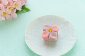 季節の和菓子「紫陽花」