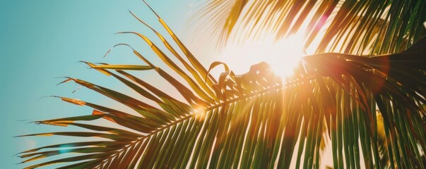 Fototapeta na wymiar Tropical forest under a radiant sunrise