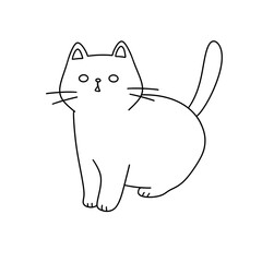 A cat is standing in front of a white background. The cat is looking at the camera with a surprised expression