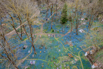 Aerial spring view of Bernardine Cemetery (Bernardinu kapines) in Vilnius, Lithuania