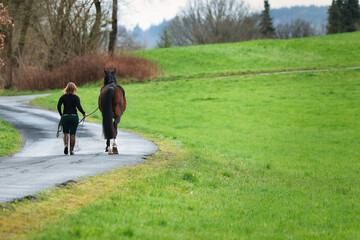 Horse and owner are led along an asphalt meadow path.